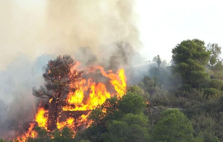 Portugal battles forest fires amid heatwave